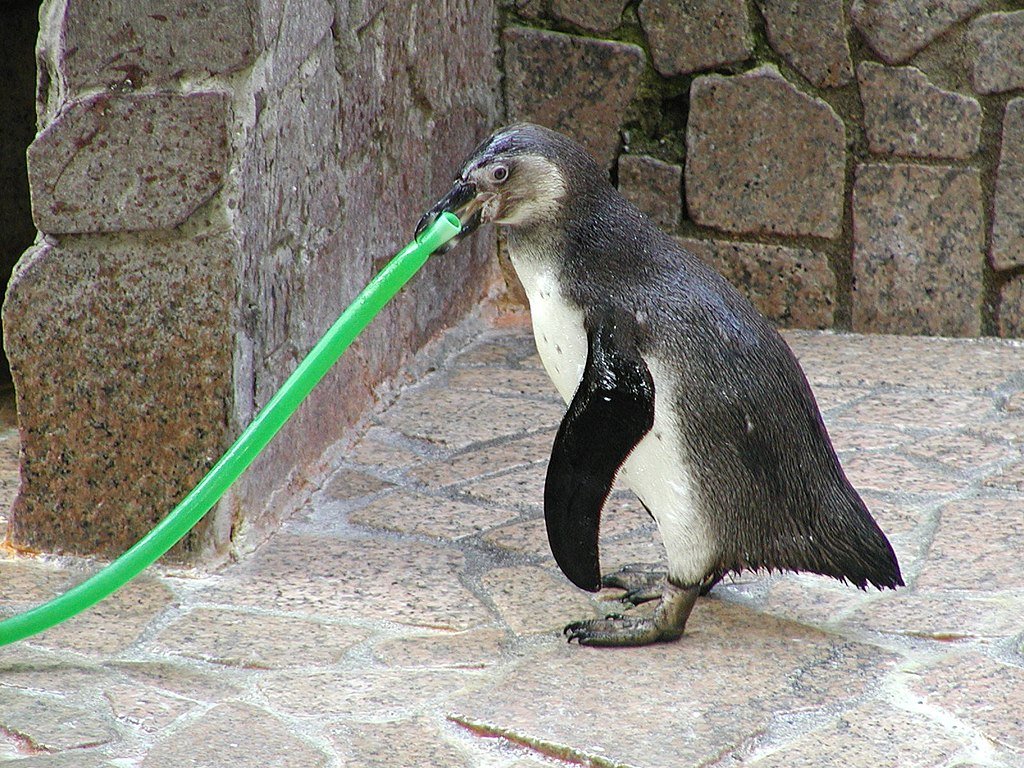 🌳 교센 공원 이미지 8